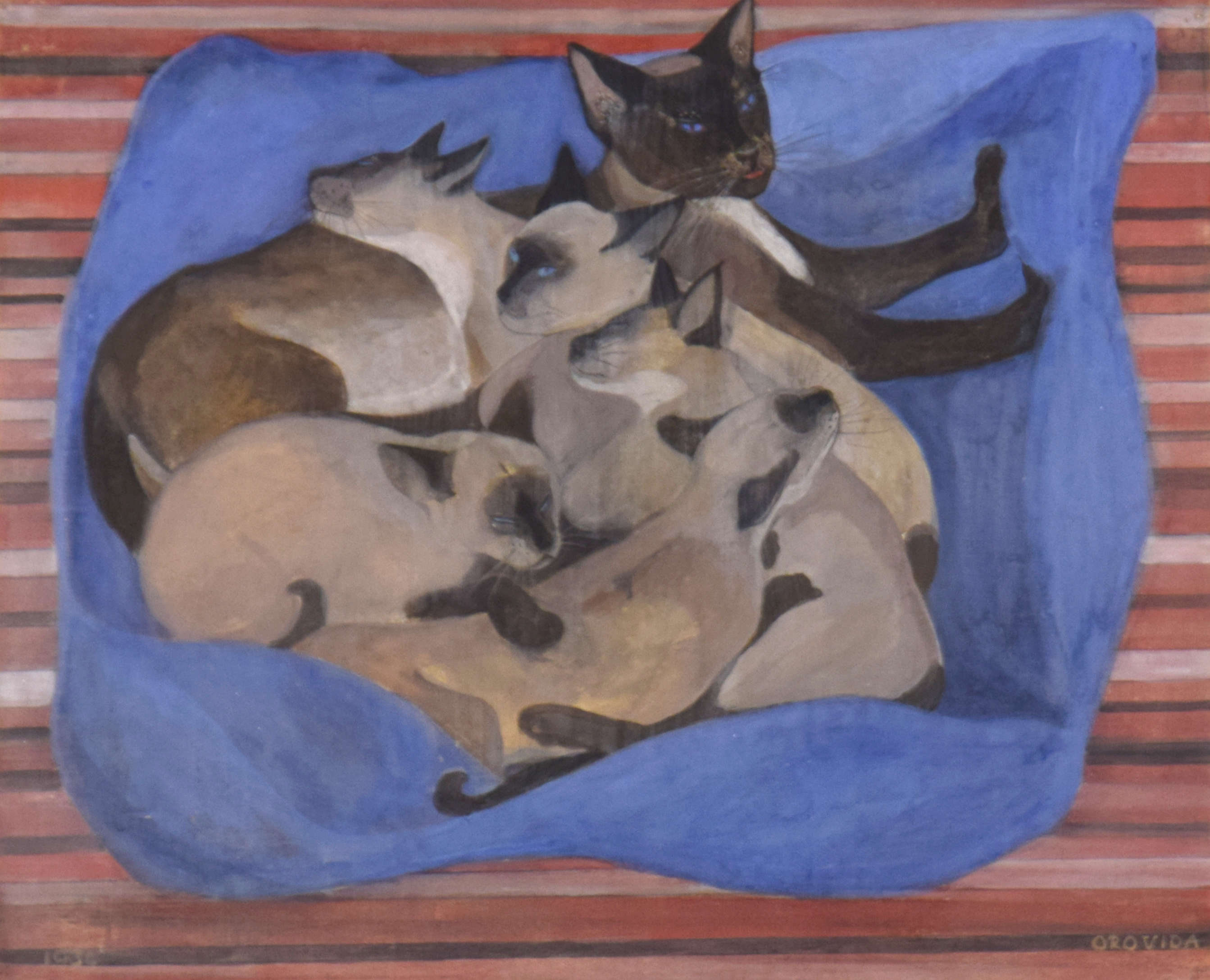 Siamese Cat with Kittens
